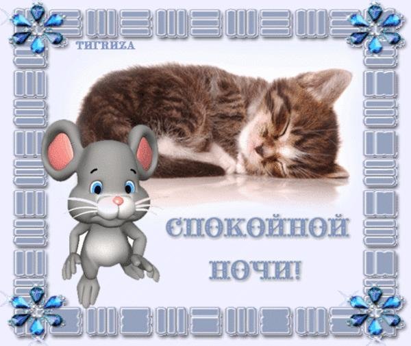 Спокойной весенней ночи