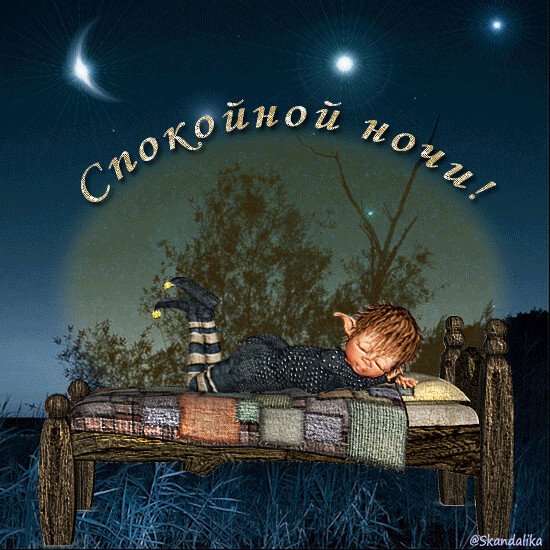 Спокойной весенней ночи котенок