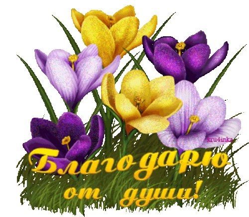 Спасибо за внимание