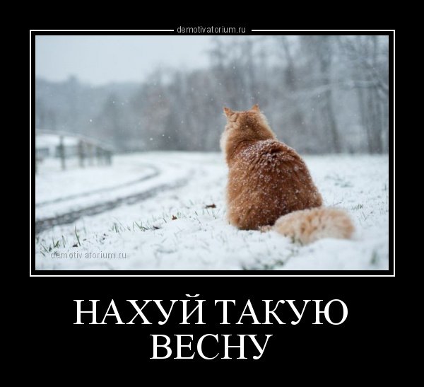 Демотиваторы про весну