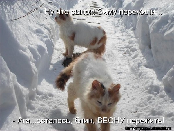 Приколы про зиму и весну