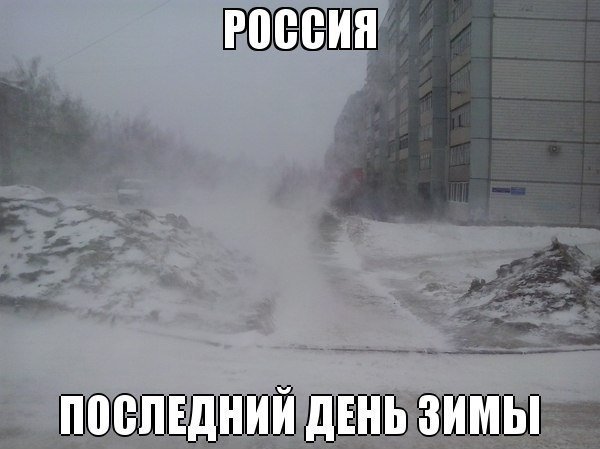 День весны и кошек