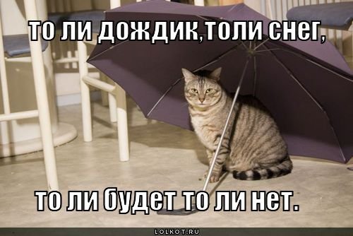 То ли дождик толи снег