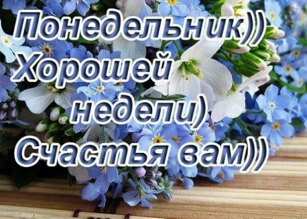 Доброго понедельника и хорошей недели