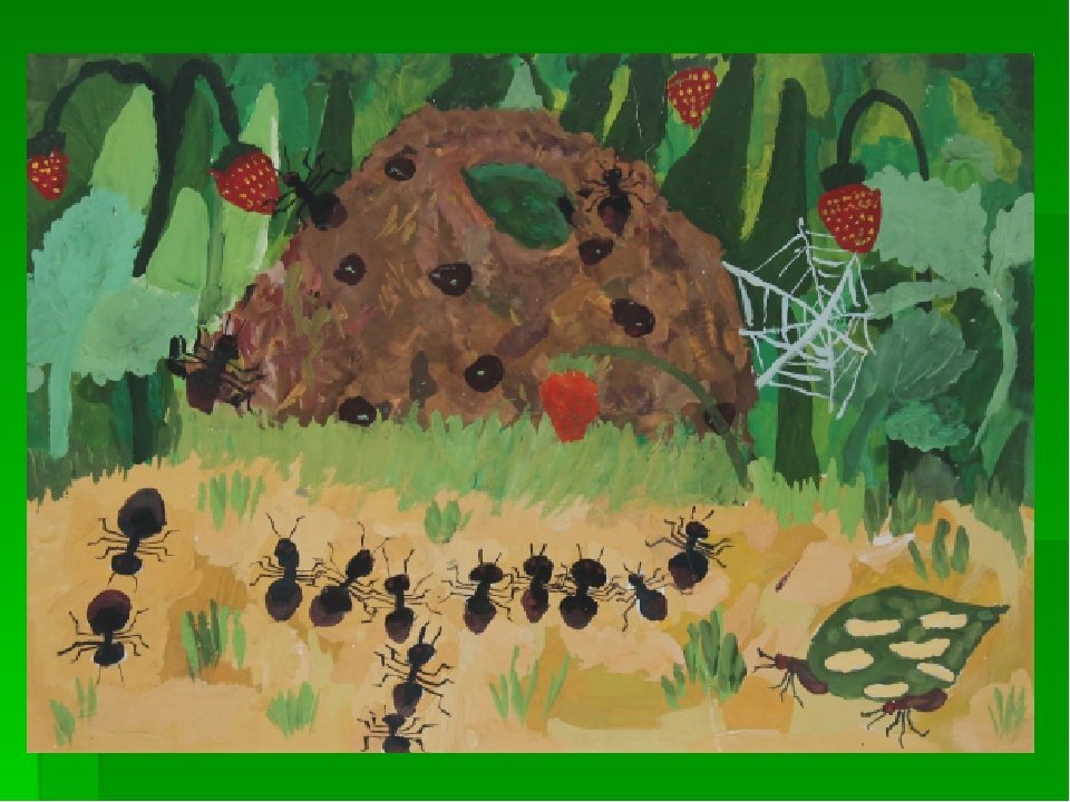 Рисование на тему насекомые в старшей группе