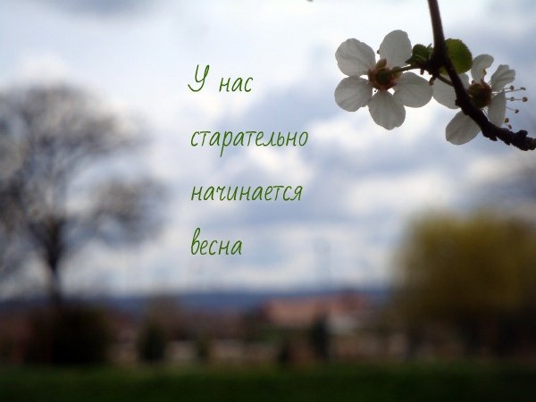 С первым днём весны открытки красивые