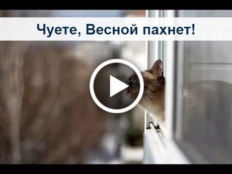 Чувствуете весной пахнет