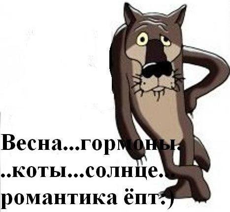 Кот нюхает весну