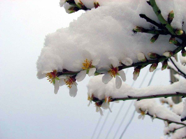 Борьба весны с зимой