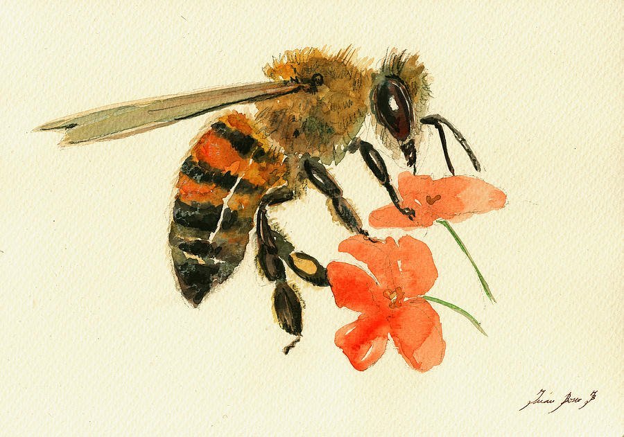 Нектар рисунок. Пчела рисунок. Пчела акварель. Пчела гуашью. Пчёлка живопись.