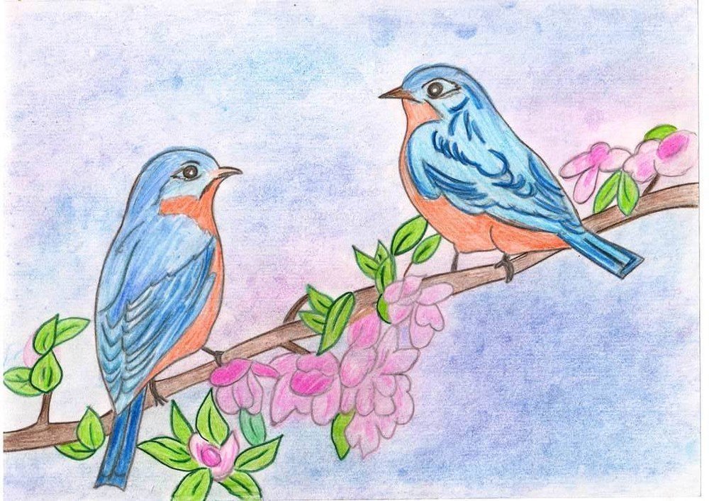 Птицы весной рисунок