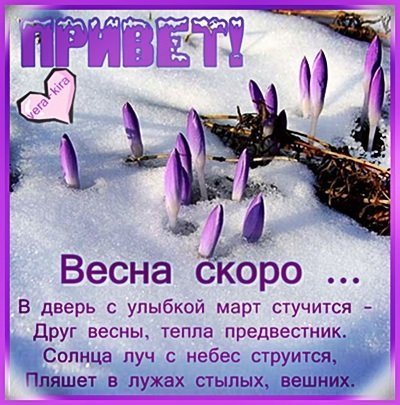 Весенние цветы в руках