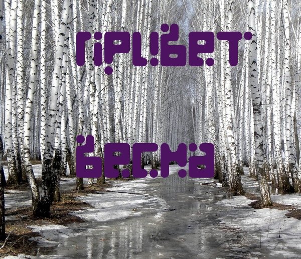 С весной прикольные