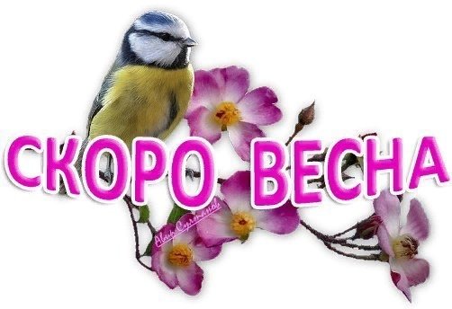 Уже февраль скоро Весна