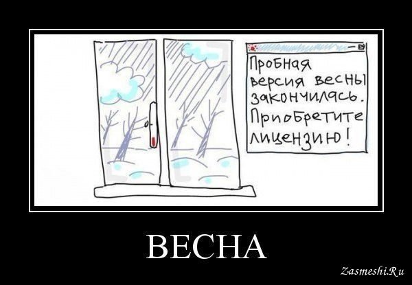 Смешные цитаты про погоду