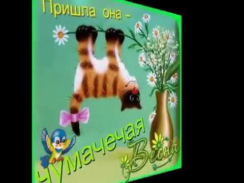 Кошка в венке из цветов