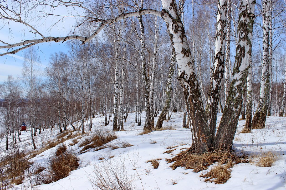 Месяц март в россии. Март природа.