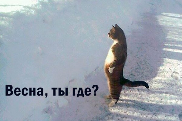 Чуете Весна пришла