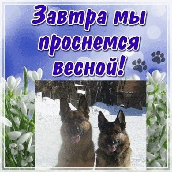 Открытка прощание с зимой