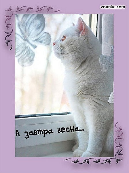 Ура завтра Весна