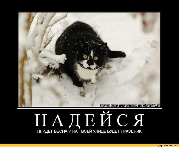 Где Весна
