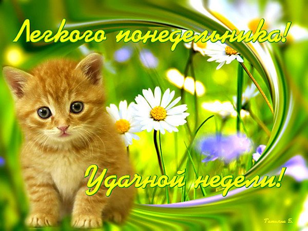 Хорошего понедельника и отличного настроения