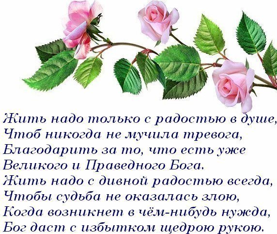 Жизнь хороша