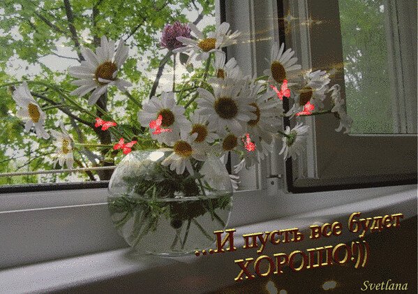 В окнах свет и нет войны. Утро доброе в окошко. Утро доброе в окошко заглянуло. Лето цветы на окне анимация. Утро доброе в окошко заглянуло улыбается.