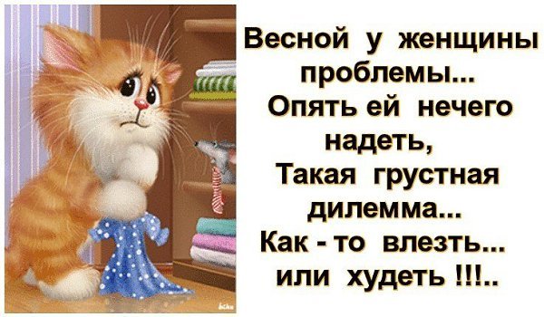 Приколы про зиму и весну