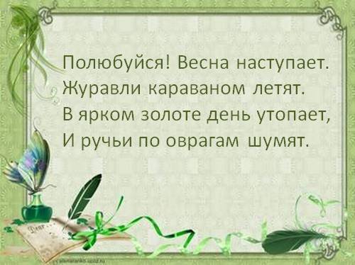 Птицы ранней весной