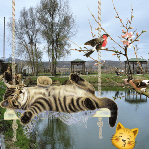 Гиф Весна пришла прикольные