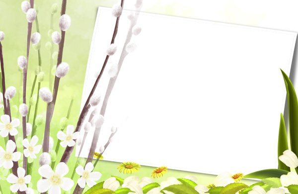 Цветы в пастельных тонах