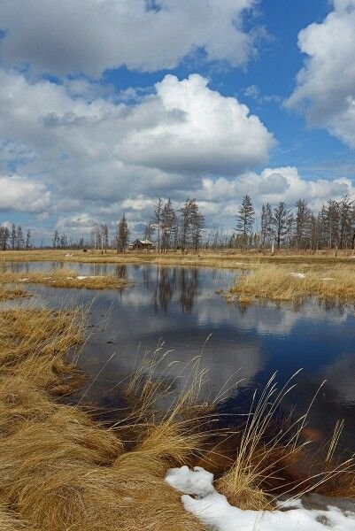 Природа Якутии Весна