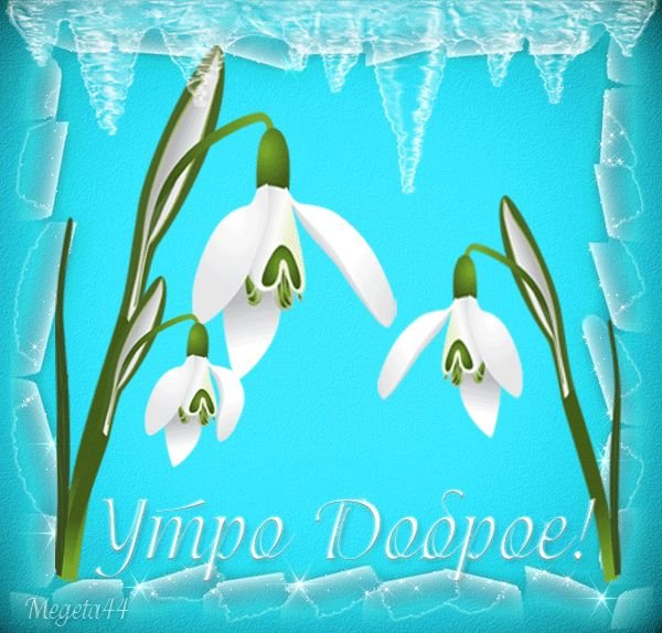 Подснежники голубые букет