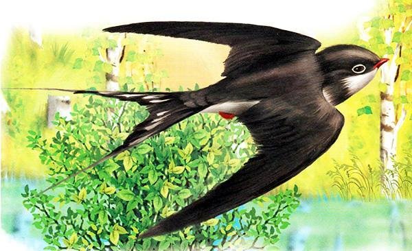 Ласточка для детей