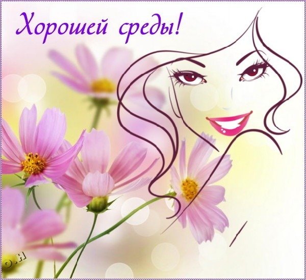 Открытки чудесной среды