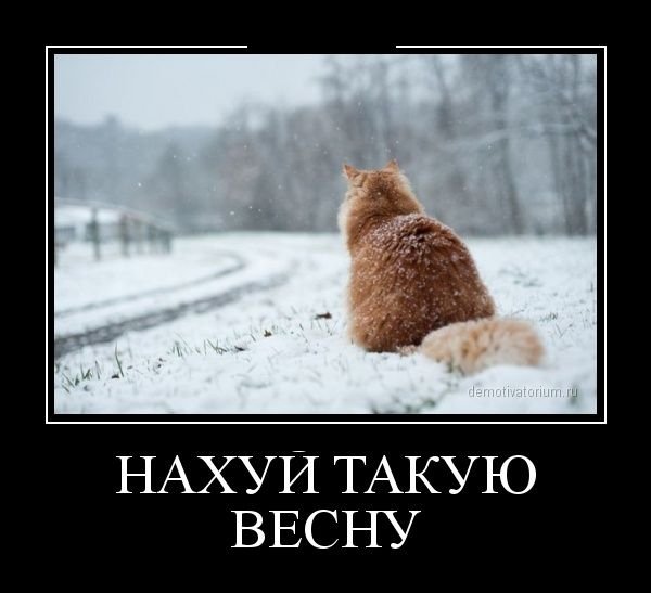 Приколы про зиму и весну