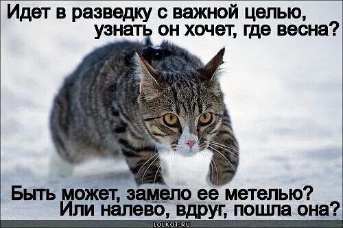 Весна ты где