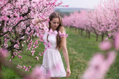 Весна надпись