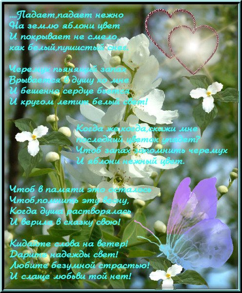 Красивые высказывания о весне и женщине