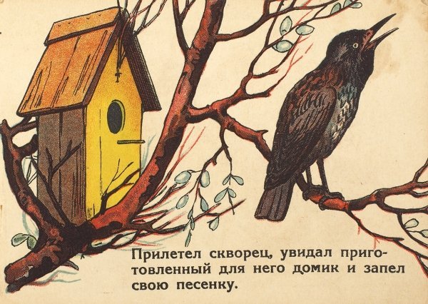 Весенняя Заревка скворца
