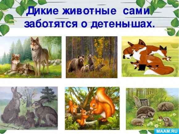 Зайчиха с зайчатами для детей