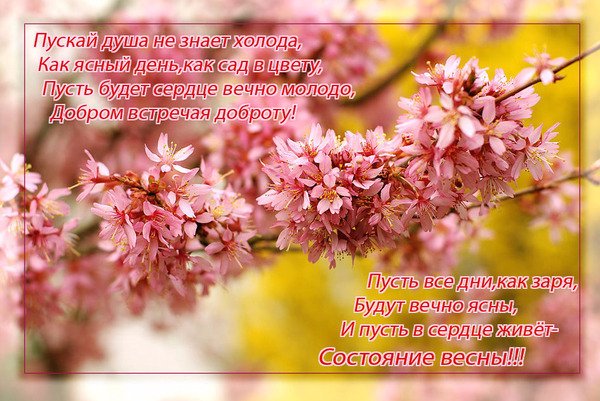 Пусть в сердце цветет Весна