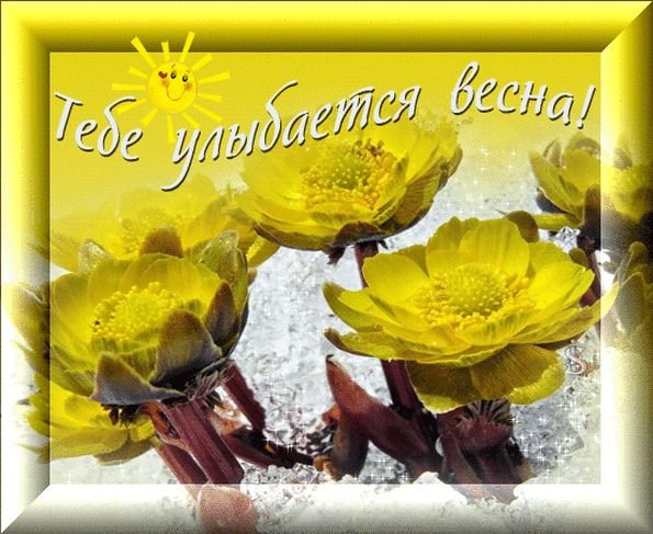 Прекрасного солнечного весеннего дня