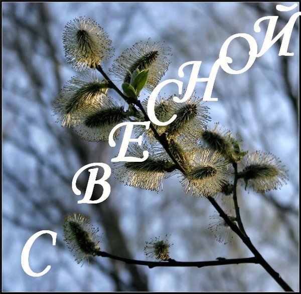 Наконец то Весна пришла