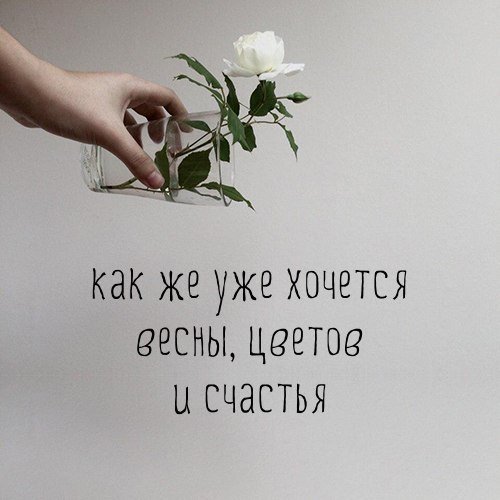 Хочется весны цитаты
