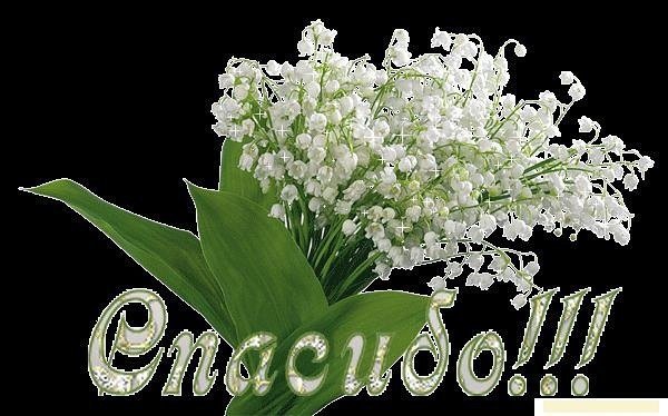 Спасибо Ландыши