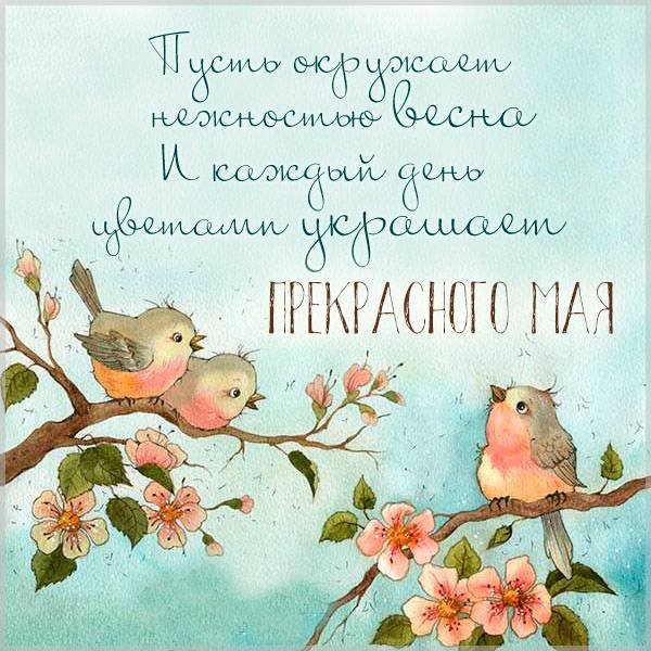 Виктория Кирдий Весна