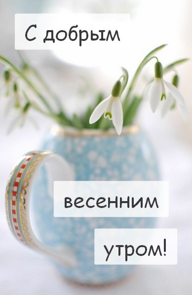 Цветы весенние с добрыми пожеланиями
