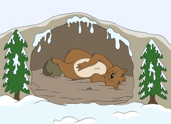 Медведь в берлоге для детей